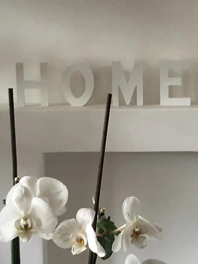B&B Home Praga Repubblica Ceca